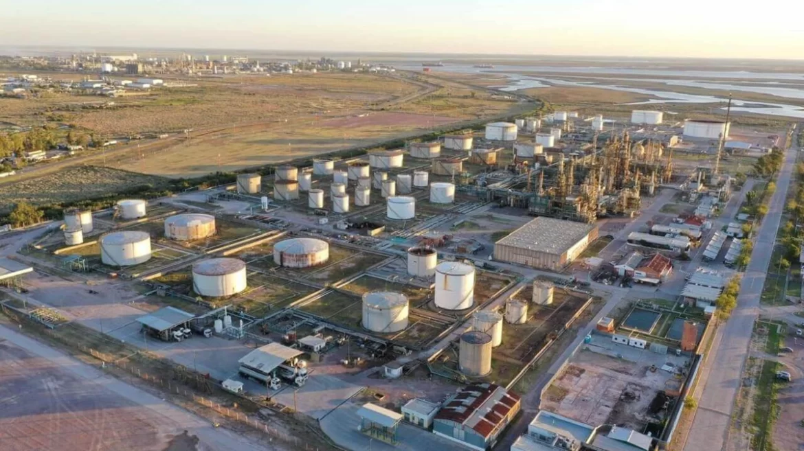 Empresas de energía apuestan a inversiones en Bahía Blanca y la Patagonía: la eólica, por sobre el resto